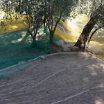 In Imperia Fuer Bis Zu 4 Personen