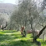In Imperia Fuer Bis Zu 4 Personen Vasia