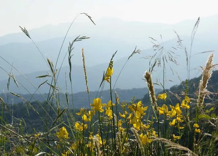 In Imperia Fuer Bis Zu 4 Personen Διαμέρισμα Vasia