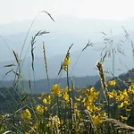 In Imperia Fuer Bis Zu 4 Personen Διαμέρισμα Vasia