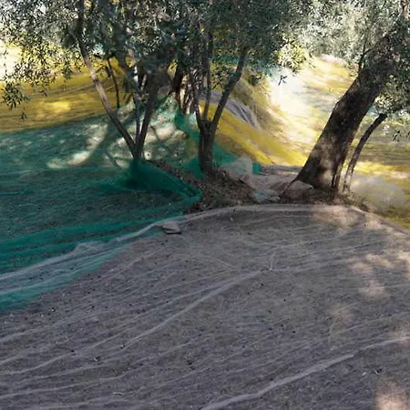 In Imperia Fuer Bis Zu 4 Personen