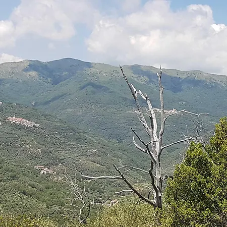 In Imperia Fuer Bis Zu 4 Personen Διαμέρισμα *
