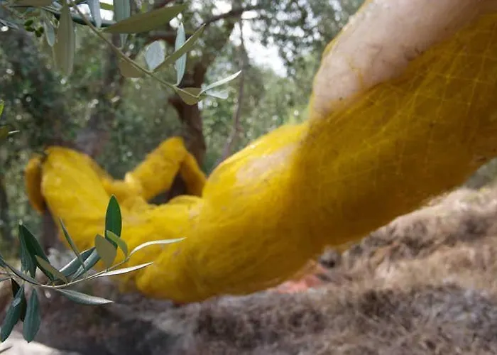 In